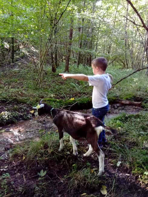 Luvigny: a unique discovery walk with goats - Practical Information: What Not to Bring and Who Should Avoid