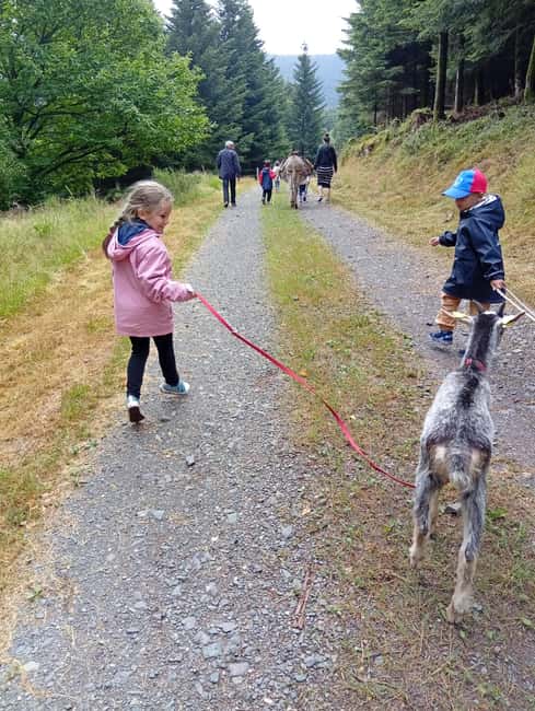 Luvigny: a unique getaway with donkeys and goats - An introduction to donkeys and goats: building a bond