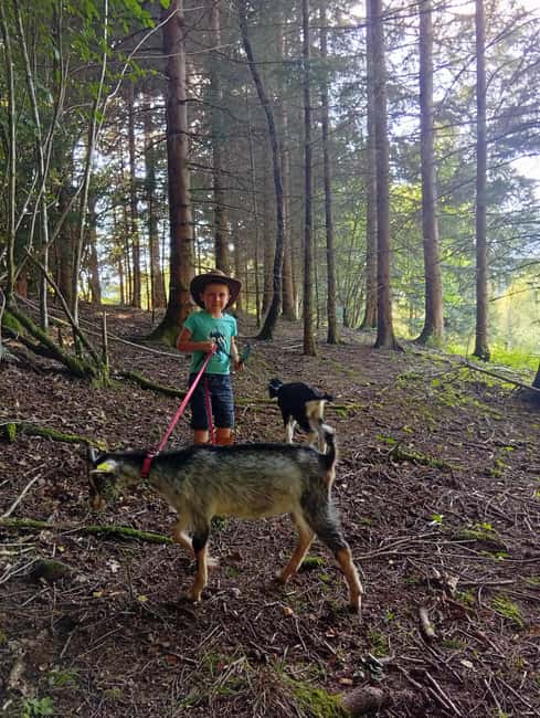 Luvigny: a unique getaway with donkeys and goats - Flexibility with booking and cancellation policies