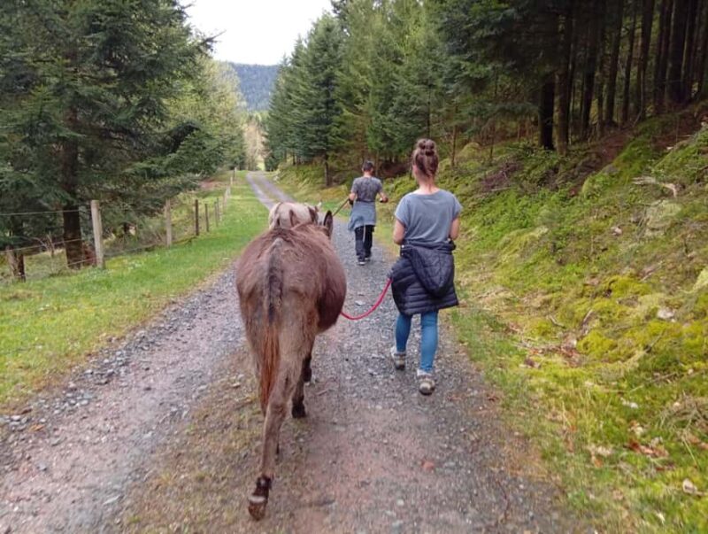 Luvigny: Donkey discovery walk - Key Points