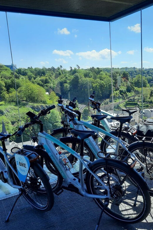 Luxembourg: City E-Bike Rental - The E-Bikes: Power and Comfort for a City Adventure