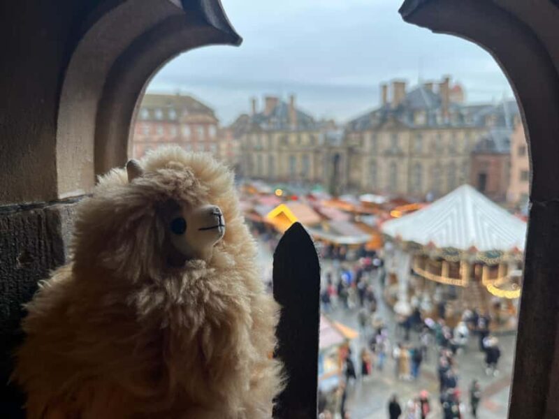 Luxembourg Day Tour from Strasbourg - Key Points