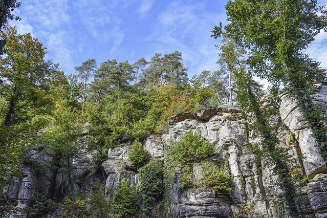 Luxembourg private 1-day tour - Luxembourg’s Highlights in One Day: The Complete Experience