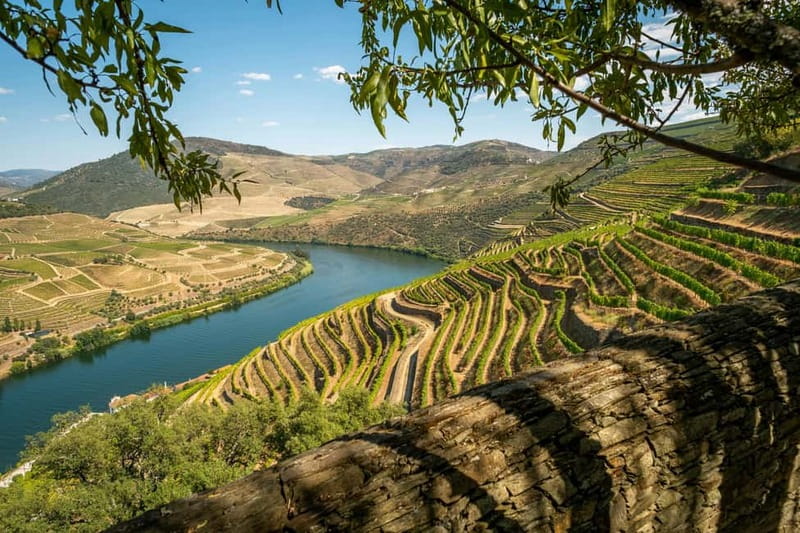 Luxurious Daytrip Lisbon to Douro Valley with Optional Stops - Discover Portugal’s Charm on a Luxurious Daytrip from Lisbon to Douro Valley