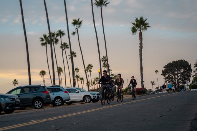Luxurious Guided Electric Bike Tour to Torrey Pines - Key Points