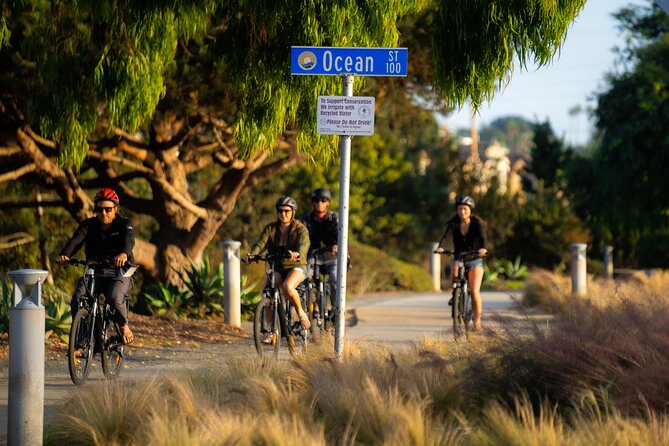 Luxurious Guided Electric Bike Tour to Torrey Pines - The Scenic Highlights: Beaches, Lookouts, and Coastal Landmarks