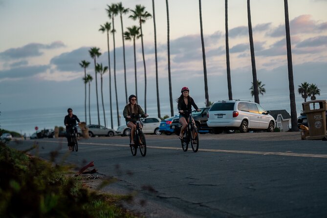 Luxurious Guided Electric Bike Tour to Torrey Pines - Who Will Enjoy This Tour?