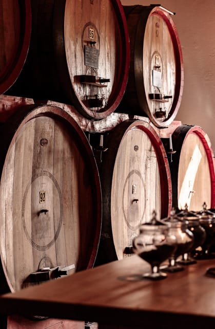 Luxurious Wine Experience: Savor Venetian Best Vineyards - Discovering the 4V Project’s Sustainable Practices