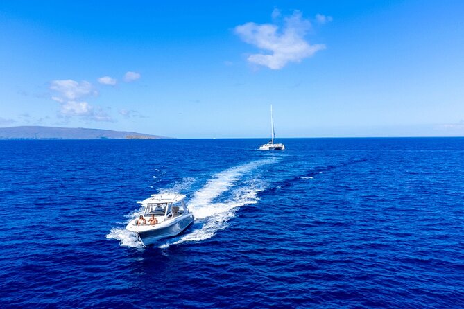 Luxury 6 passenger Boston Whaler Private Charter - The Private Experience on the Alii Nani Boston Whaler