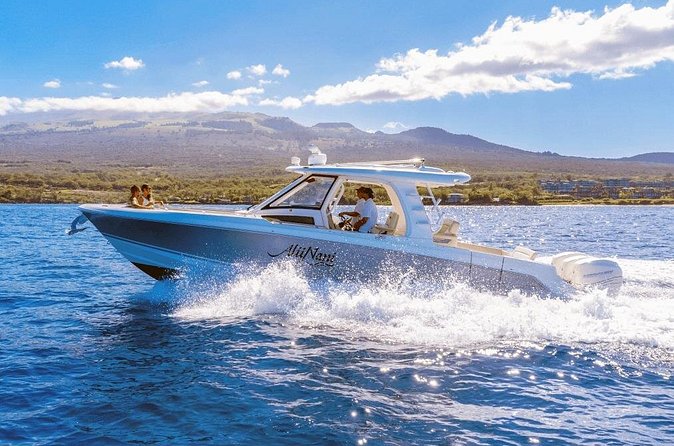 Luxury 6 passenger Boston Whaler Private Charter - Easy Meeting and Return Location in Kihei