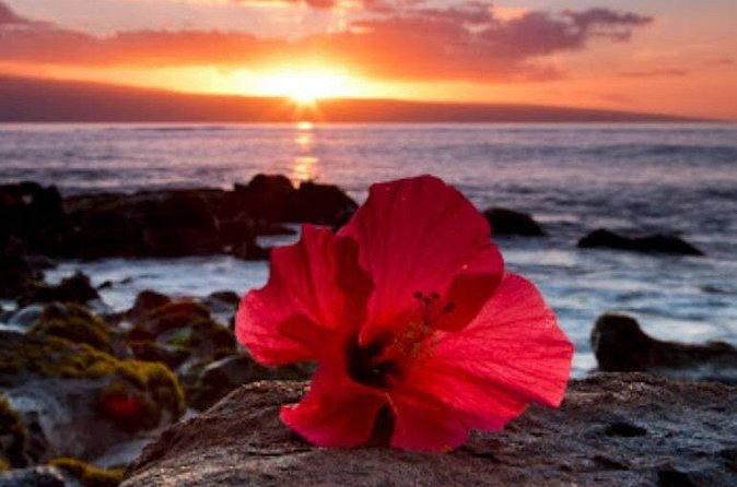 Luxury Airport Transfer in Hawaii - Accessibility and Special Requirements