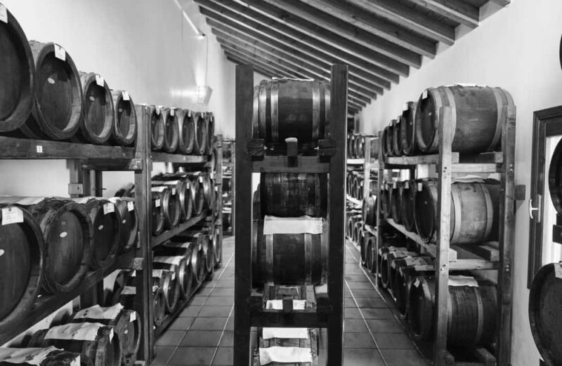 Luxury Balsamic Vinegar Tasting & Tour near Parma & Reggio - Experience the Art of Traditional Balsamic Vinegar Near Parma & Reggio Emilia