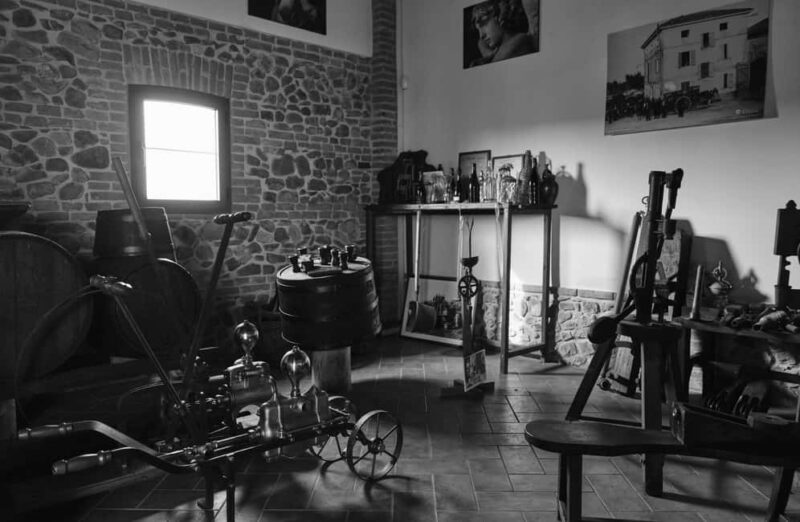 Luxury Balsamic Vinegar Tasting & Tour near Parma & Reggio - Practical Details and Accessibility