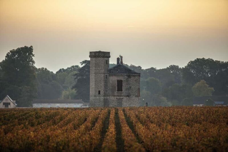 Luxury Burgundy Private Wine Tour - Visiting Iconic Villages in Burgundy