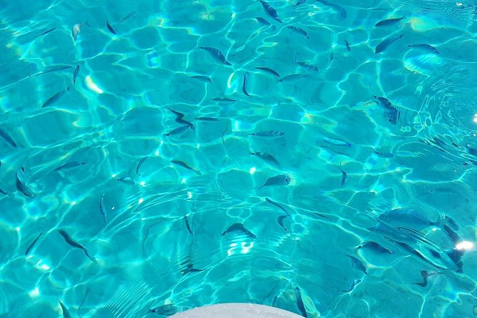 Luxury catamaran from Porto Rafael-Palau to the Maddalena Archipelago - The Catamaran: Comfort and Personal Space