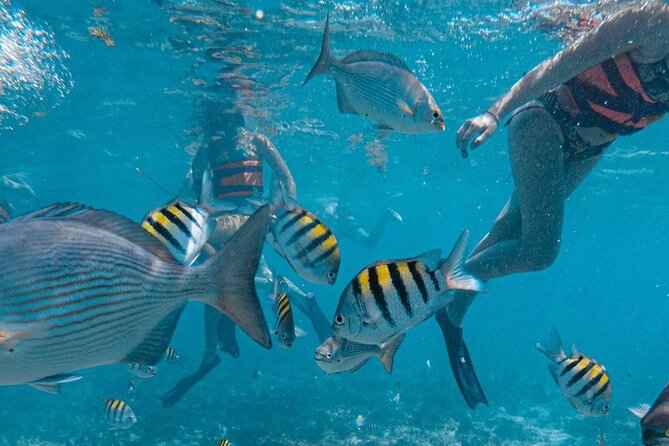 Luxury Catamaran to Isla Mujeres, Snorkeling, Buffet and Ice Bar - Who Will Love This Tour?