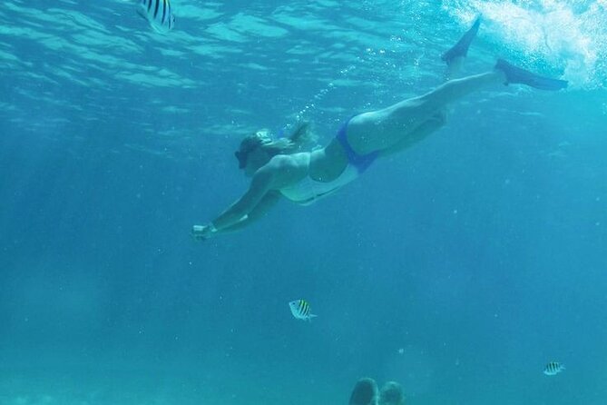 Luxury Catamaran Tour to Isla Mujeres with Transportation - Key Points