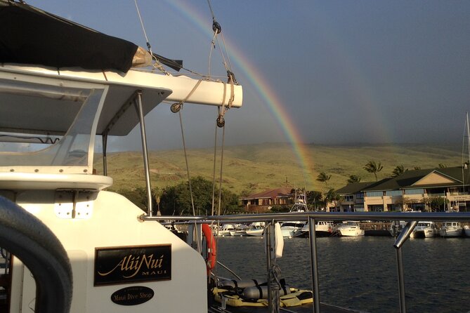 Luxury Catamaran Whale Watch - Whale Sightings and Encounters