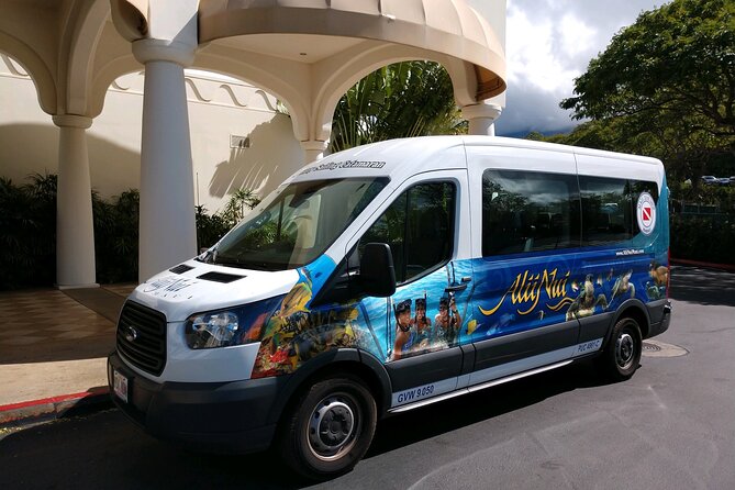 Luxury Catamaran Whale Watch - Accessibility and Practical Considerations