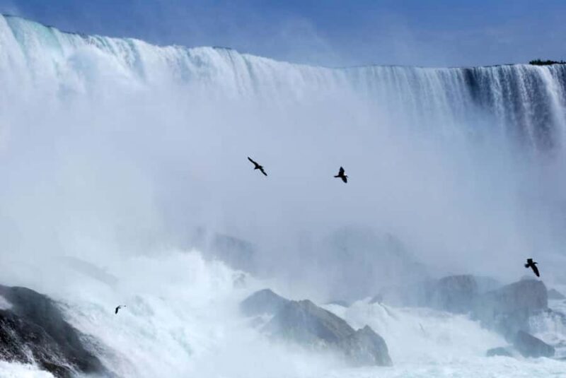 Luxury Day Trip: Niagara on the Lake, Wine & Falls - Who Will Enjoy This Tour Most?
