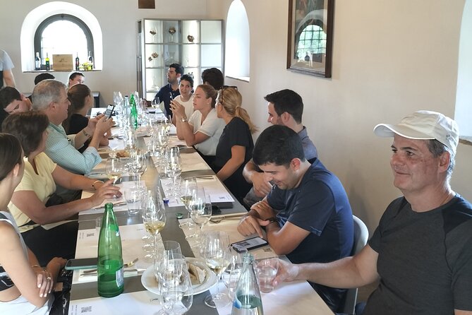 Luxury Eno and Oil experience, by e-bike and more... - The Artisanal Oil Mill and Olive Oil Tasting