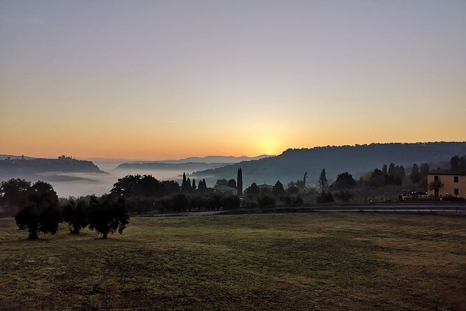 Luxury Eno and Oil experience, by e-bike and more... - The Expertise of OrvietoBikeTour Guides