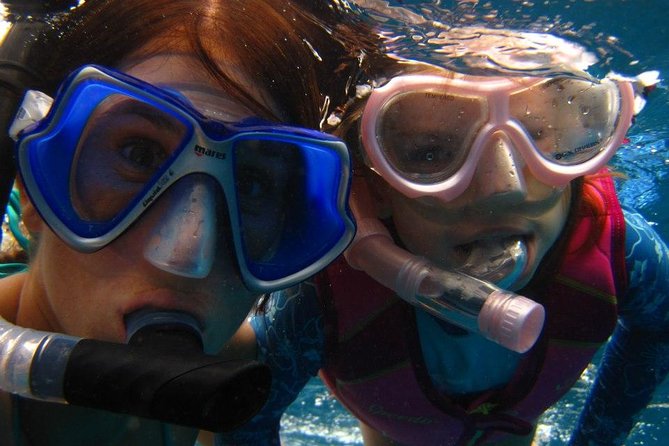 Luxury Hawaiian Sea Turtle, Dolphin Sail and Kona Snorkel - The Small Group Advantage for a Personalized Experience