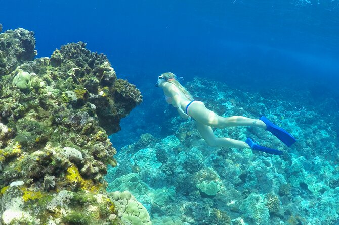 Luxury Kona Coast Snorkel Tour Including Lunch - Final Thoughts on the Luxury Kona Coast Snorkel Tour
