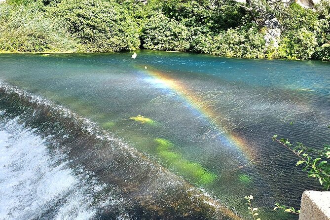 Luxury Konavle Gastro tour - Highlights from Positive Reviews