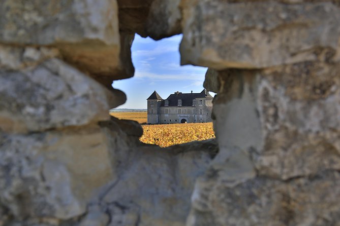 Luxury Luxury Wine Tour Experience - Key Points