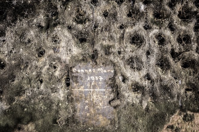 Luxury Luxury Wine Tour Experience - Visiting Top Wineries: La Romanée Conti, Clos de Bèze, and Montrachet