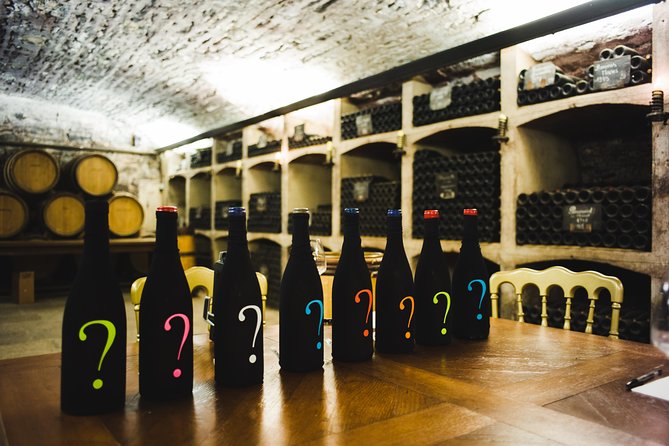 Luxury Luxury Wine Tour Experience - Learning about Burgundy’s Viticulture and History