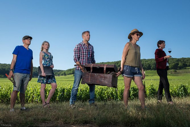 Luxury Luxury Wine Tour Experience - Meeting Burgundy Winemakers and Experts