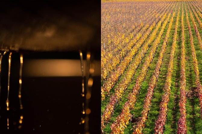 Luxury Luxury Wine Tour Experience - The Scenic Journey in a Luxury Mercedes-Benz