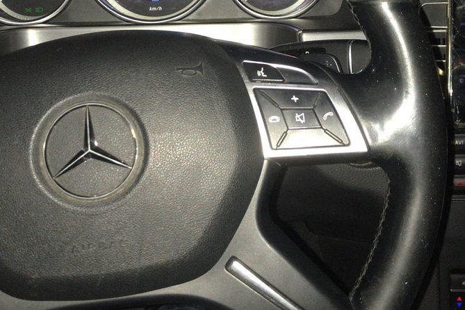 Luxury Minivan from Brussels airport to the city of Brussels - Who Should Book This Transfer?