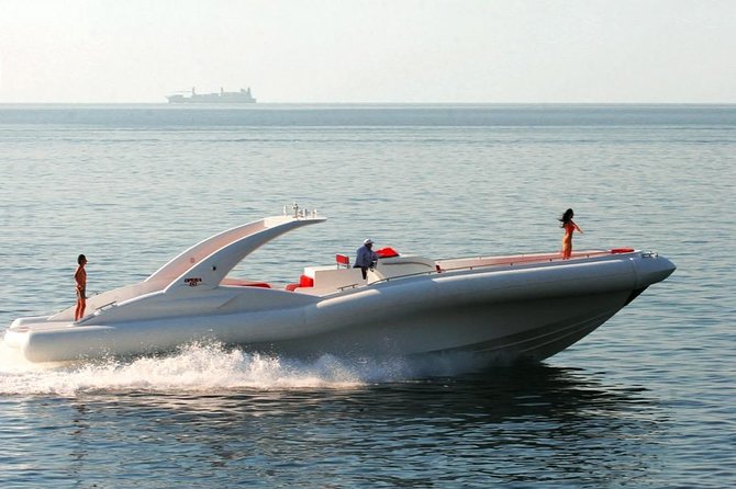 Luxury Opera 60 Whale & Dolphin Watching Experience - Meeting Point and Departure Details at Puerto Colón