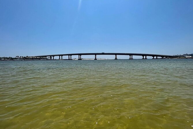 Luxury Pontoon Boat Rental - The Cost and Booking Details