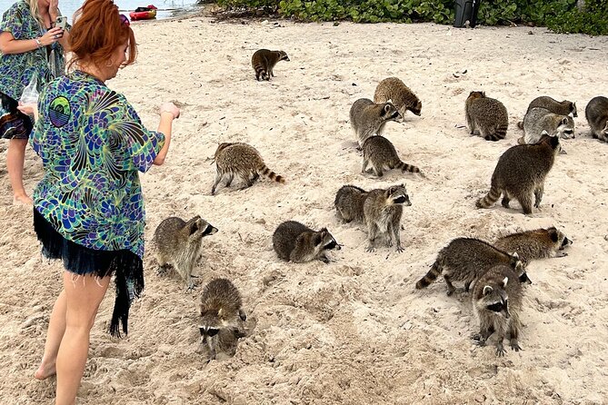 Luxury Private Boat Tour from Miami Beach - Discover Miami from the Water with a Luxury Private Boat Tour