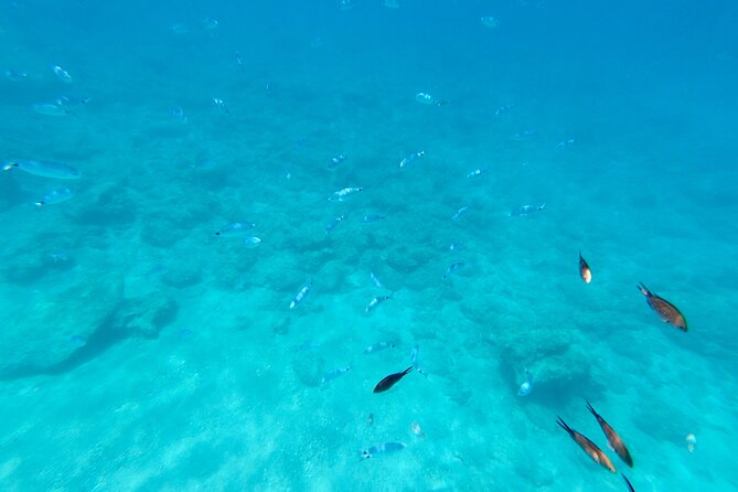 Luxury Private Cruise to Anthony Quinn Bay, Ladiko & Kallithea - Snorkeling at Anthony Quinn Bay