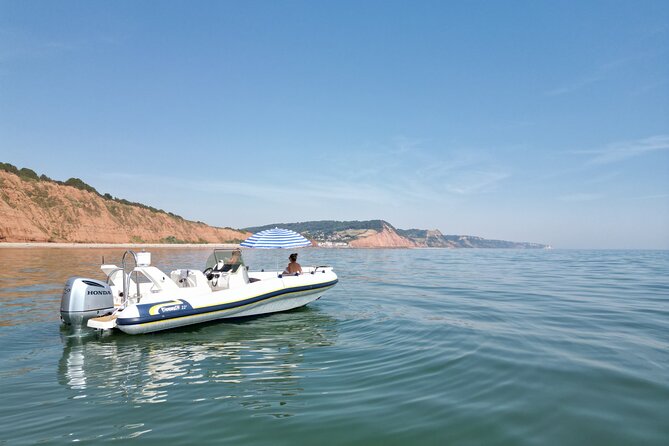 Luxury Private Rib Tour to Babbacombe Bay from Exmouth Marina - Discover the Luxury Private Rib Tour to Babbacombe Bay from Exmouth Marina