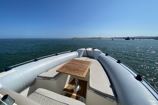 Luxury Private Rib Tour to Babbacombe Bay from Exmouth Marina - The Only Stop: Babbacombe Bay