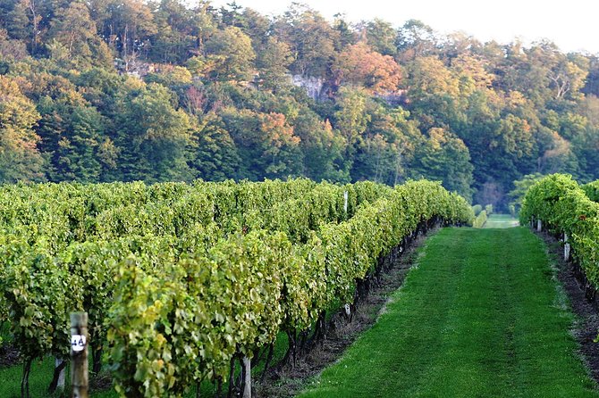 Luxury Private Tour of Niagara Falls from Toronto - Journey Behind the Falls and Other Unique Experiences