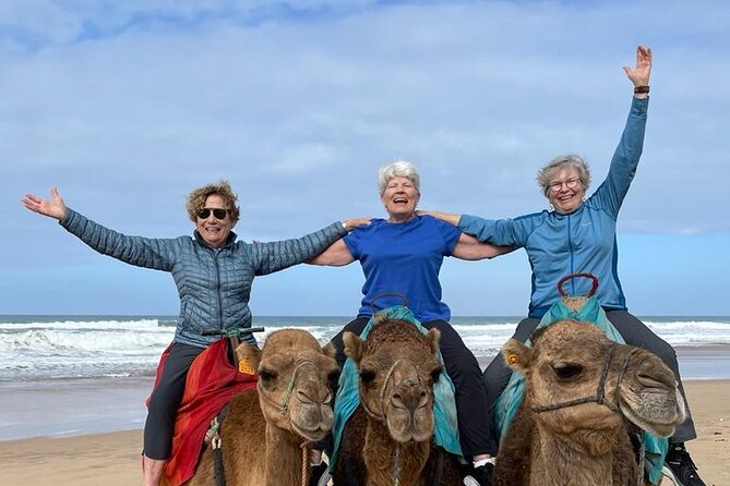 Luxury Private Tour of Tangier from Gibraltar All Inclusive - Strolling Through Perdicaris Park and Its Panoramas