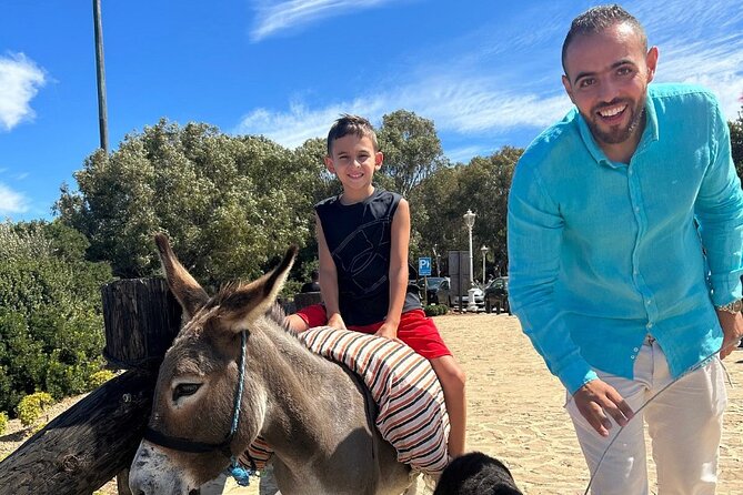 Luxury Private Tour of Tangier from Marbella All Inclusive - Taking in Tangier’s Old Town: Medina and Local Markets