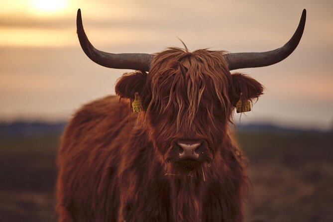 Luxury Private Tour of The Highlands & Loch Ness from Edinburgh - Exploring Doune Castle’s Medieval Splendor