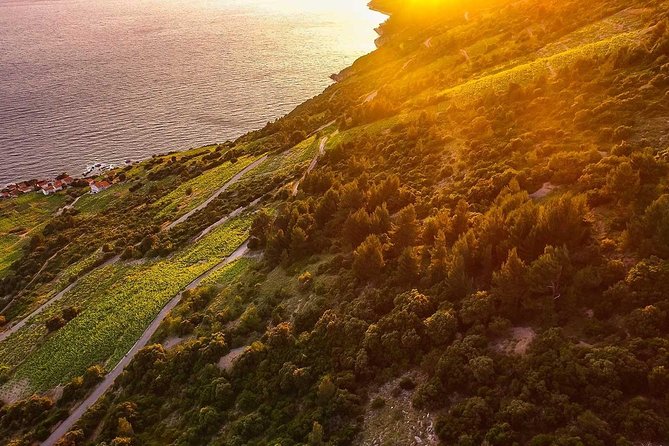 Luxury private transfer Split - Dubrovnik with lunch in Ston - Accessibility and Practical Considerations