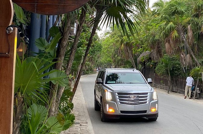 Luxury Private Transportation Cancun Airport to Tulum Hotel Zone - Comparing This Transfer to Other Options