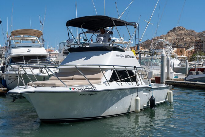 Luxury Private Yacht Charter in Cabo San Lucas Mexico - Spotting Wildlife: Sea Lions and Scooby Doo Rock