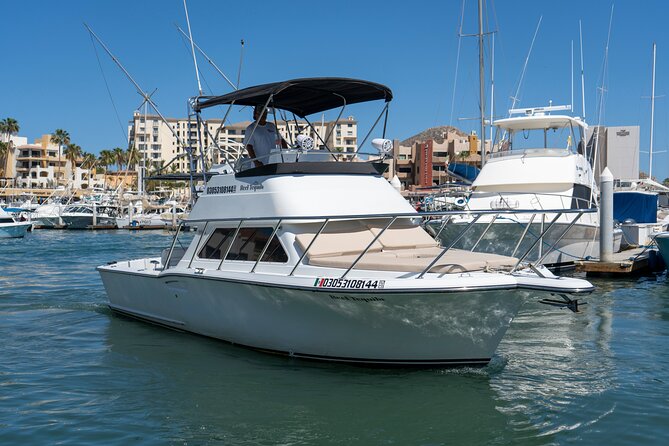 Luxury Private Yacht Charter in Cabo San Lucas Mexico - Relaxing at Medano Beach and Divorce Beach