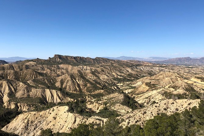 Luxury Rewaco Trike "The Fun In The Sun Tour" - (3 hours, Min of 2 Passengers) - The Guide Experience: Knowledgeable and Friendly